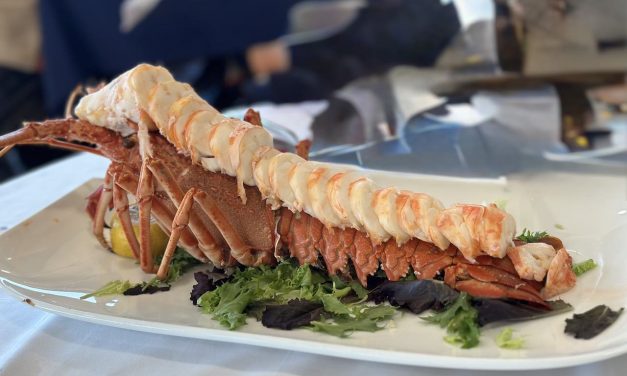 Astuy inaugura sus tradicionales Jornadas de la Langosta: un mes para saborear el mar en Isla