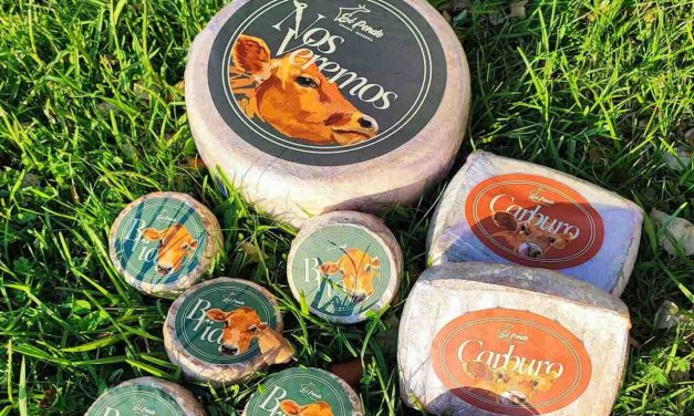 Nueve medallas para los quesos cántabros en los World Cheese Awards 2025