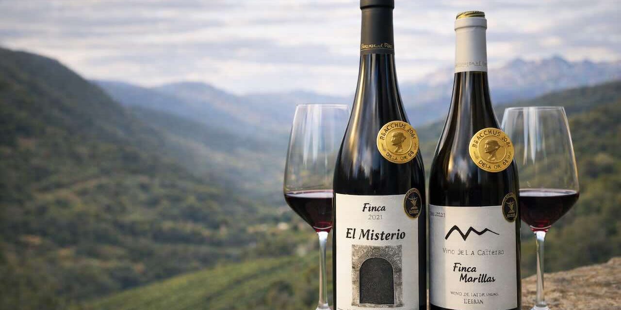 Bacchus 2026 confirma el gran momento de Liébana: doble oro para Picos de Cabariezo