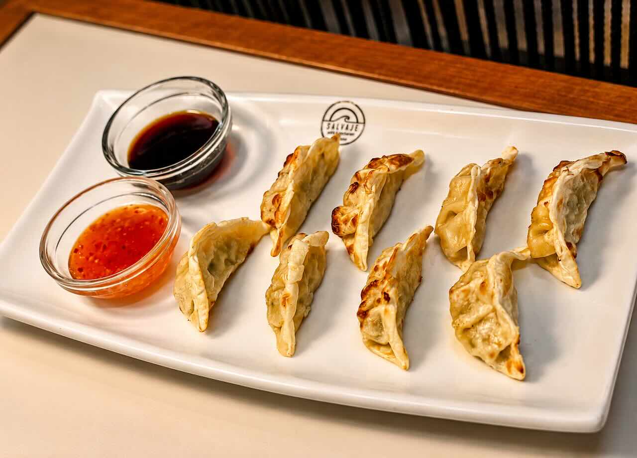 Gyozas de pollo y verduras Salvaje Santander