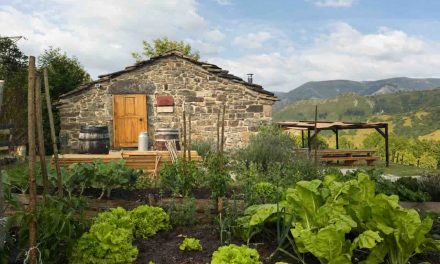 La Lleldiría, Premio Alimentos de España 2026 a la Iniciativa Emprendedora