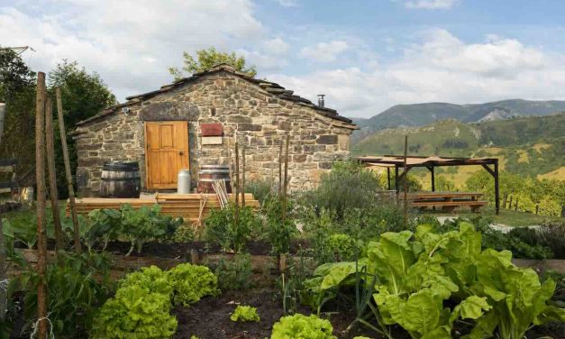 La Lleldiría, Premio Alimentos de España 2026 a la Iniciativa Emprendedora