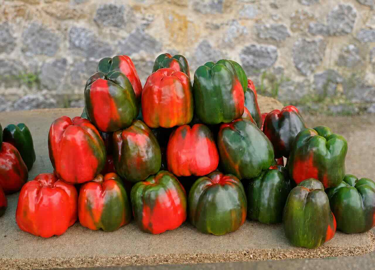Pimientos rojos y verdes de Isla expuestos en un puesto de la feria en Cantabria