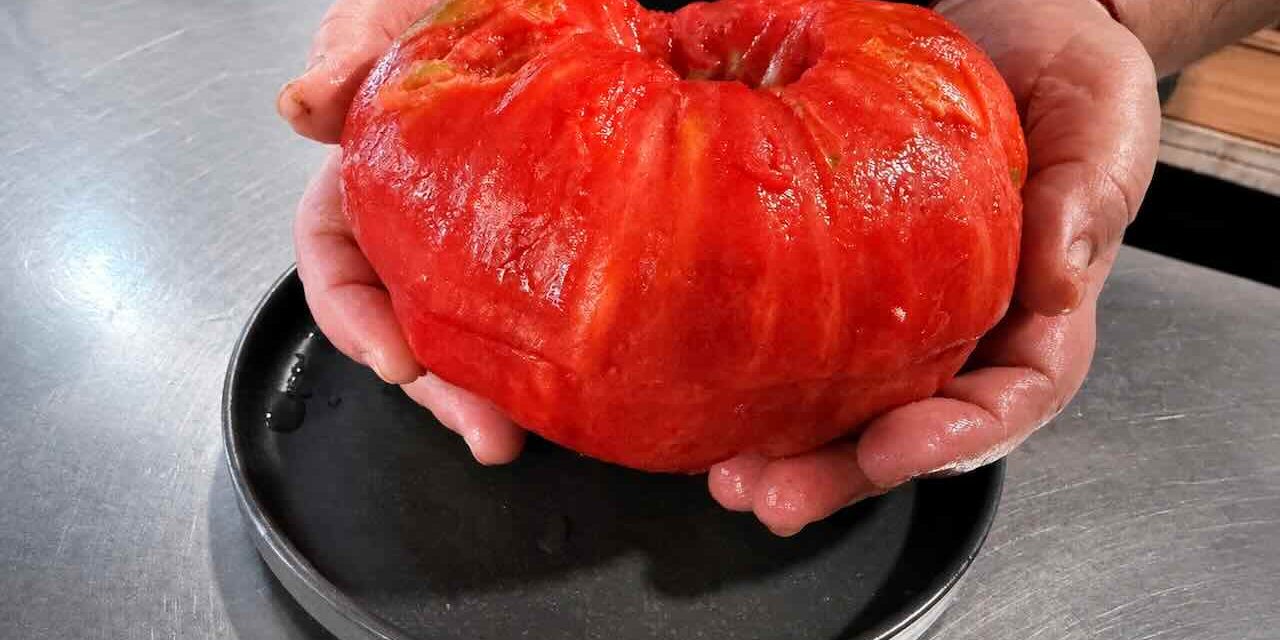 El tomate de Cantabria, el sabor que madura con el verano