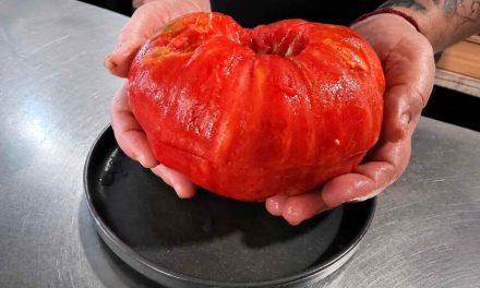 El tomate de Cantabria, el sabor que madura con el verano
