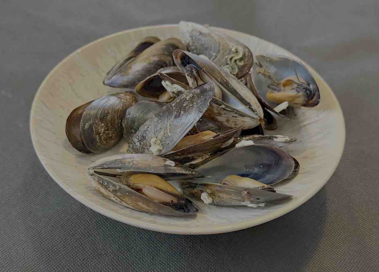 La Nuncia Cueto mejillones
