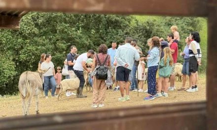 Cantabria Quesera invita a conocer los quesos de la región desde su origen