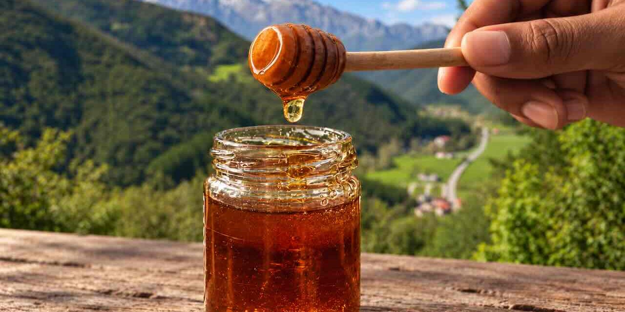Miel de Liébana: del bosque y el brezal a la mesa