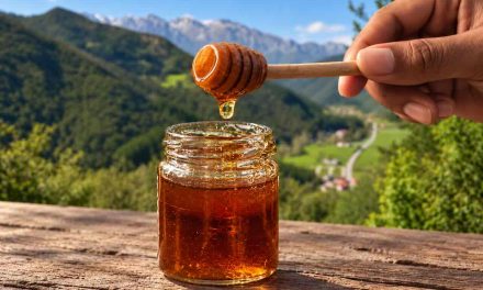 Miel de Liébana: del bosque y el brezal a la mesa